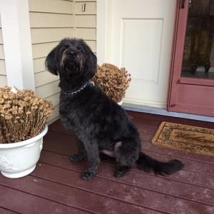 Meet your Posher, Linda